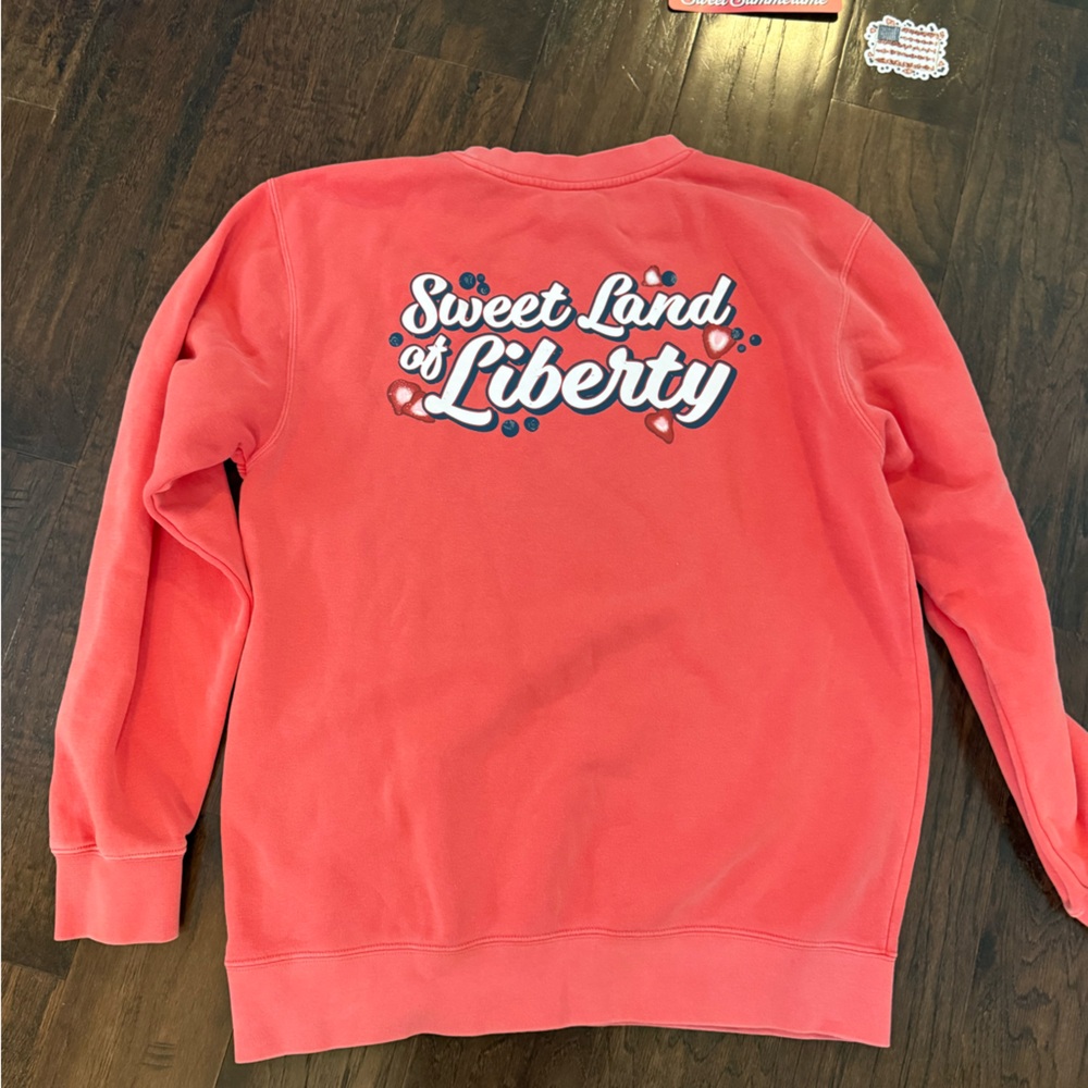 NEW Living Fully Co Flag Fruit Salad Sweatshirt size medium - Picture 5 of 5